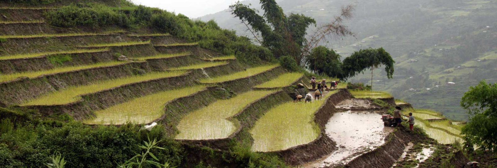 A village with irrigation woes for over a decade
