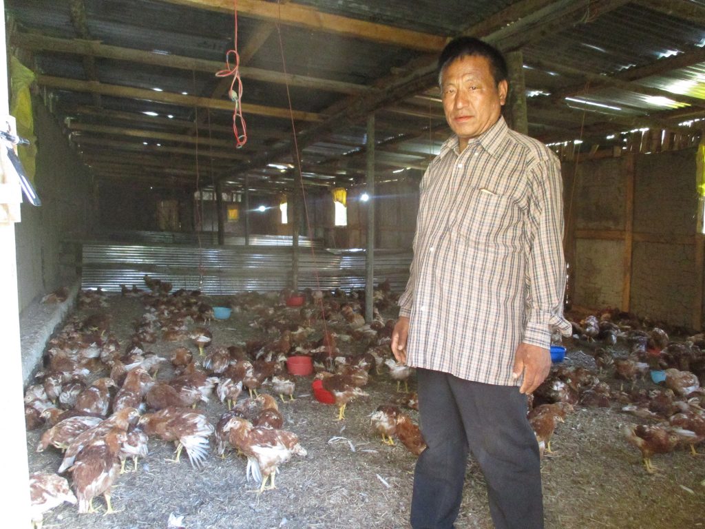 Egg market dwindles in Trashigang