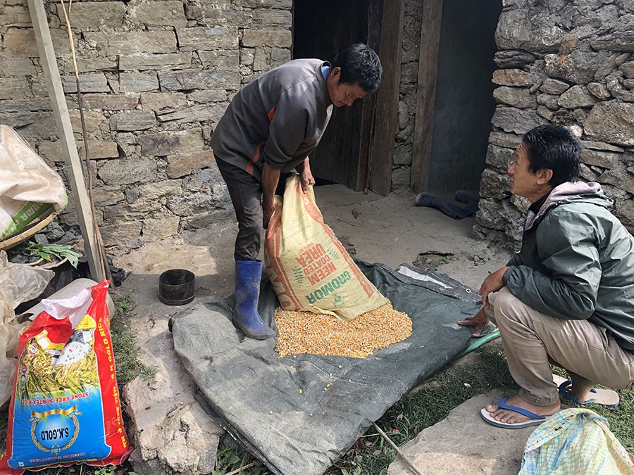 Villagers in Ghaling optimistic about better maize production this year
