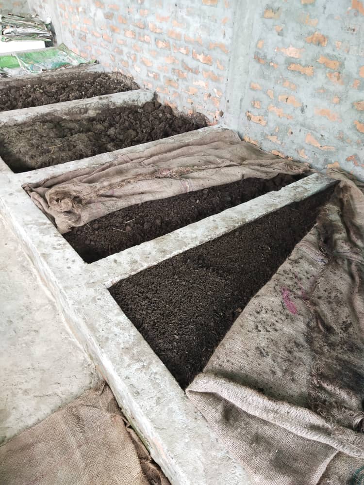 Vermi-culture: an untapped economic prospect