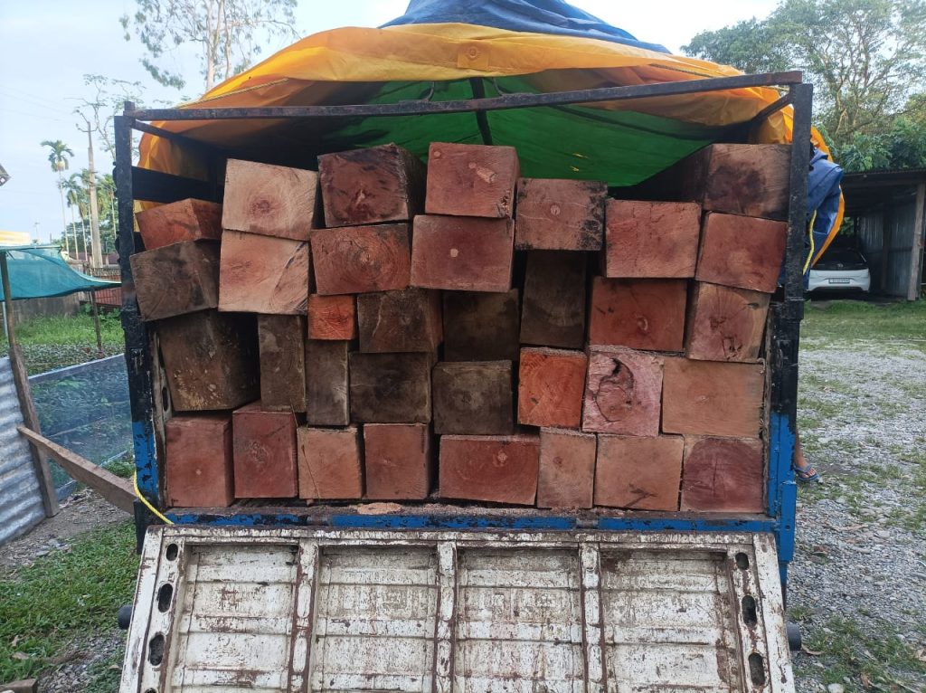 Indian officials say Bhutanese apprehended were not directly involved in illegal timber trade