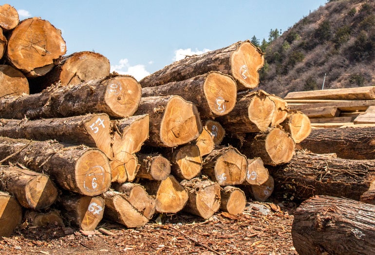 CCAA penalizes sawmill operator