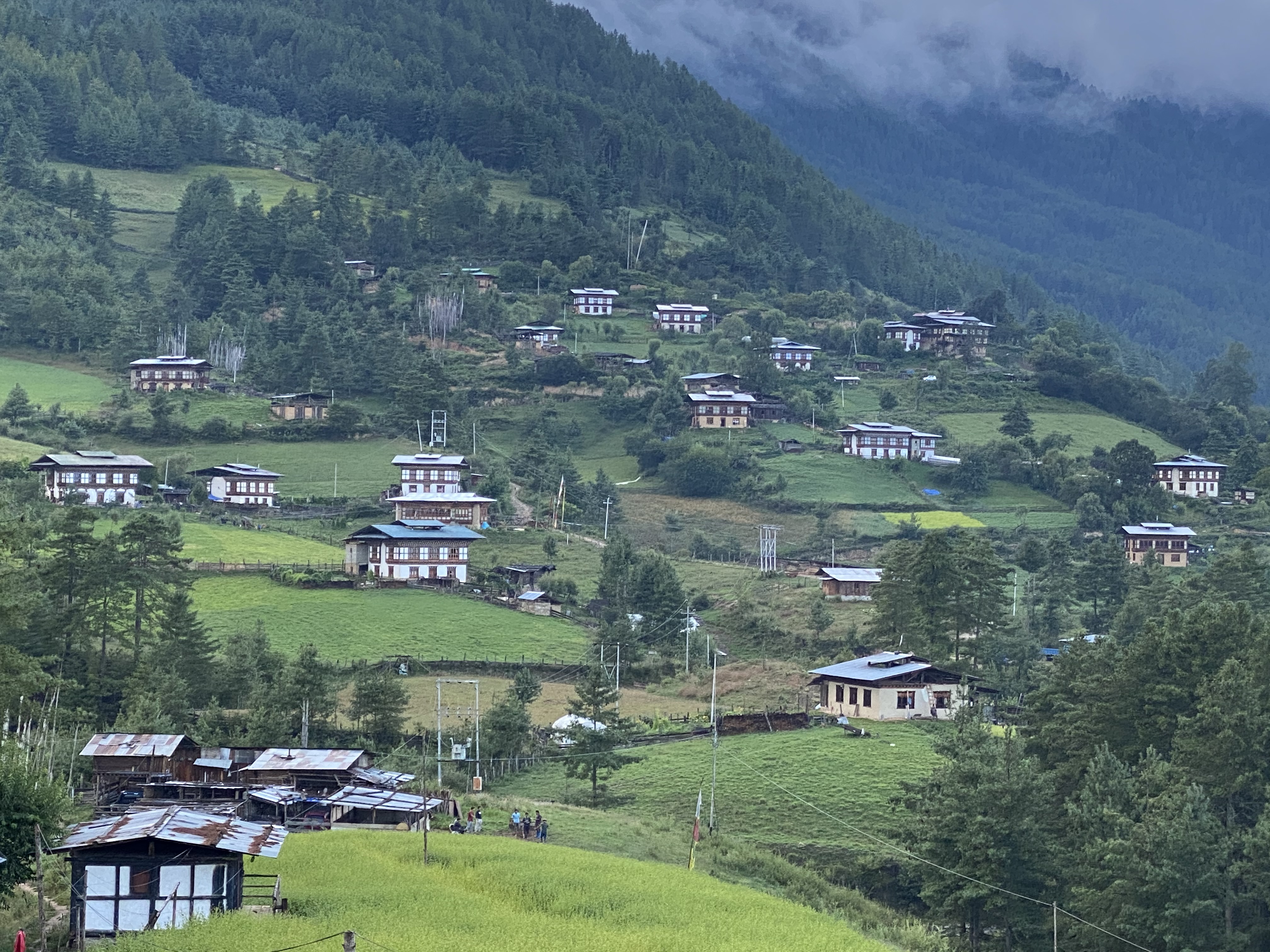 Countries in Asia and the Pacific need to work together to protect our common forest and fresh water resources