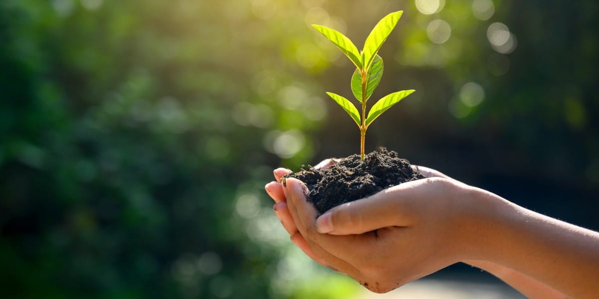 The Germination of Social Forestry Day: A Green Movement in Bhutan The Germination of Social Forestry Day: A Green Movement in Bhutan