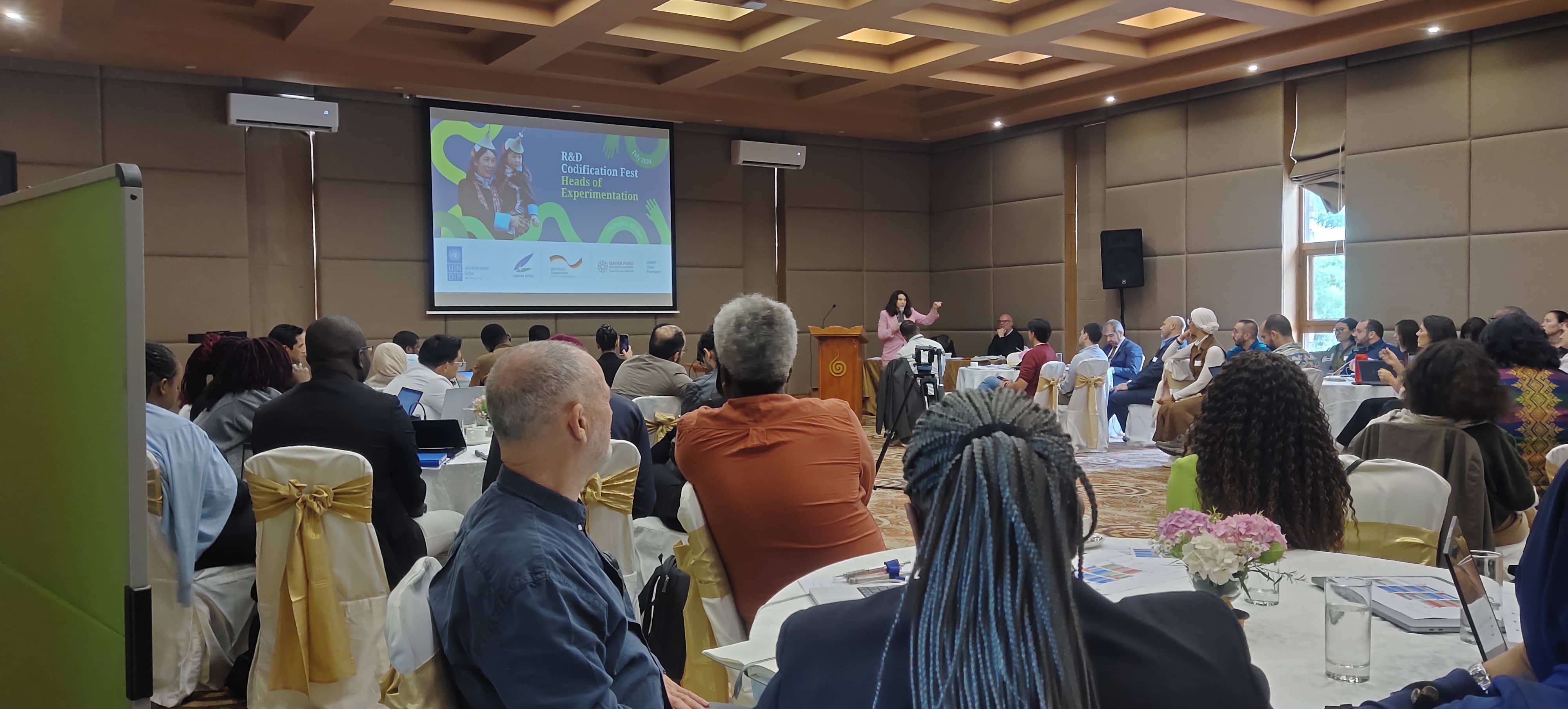 UNDP Accelerator Labs hold global innovation fest