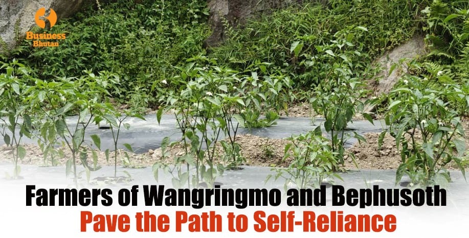 Farmers of Wangringmo and Bephusoth Pave the Path to Self-Reliance