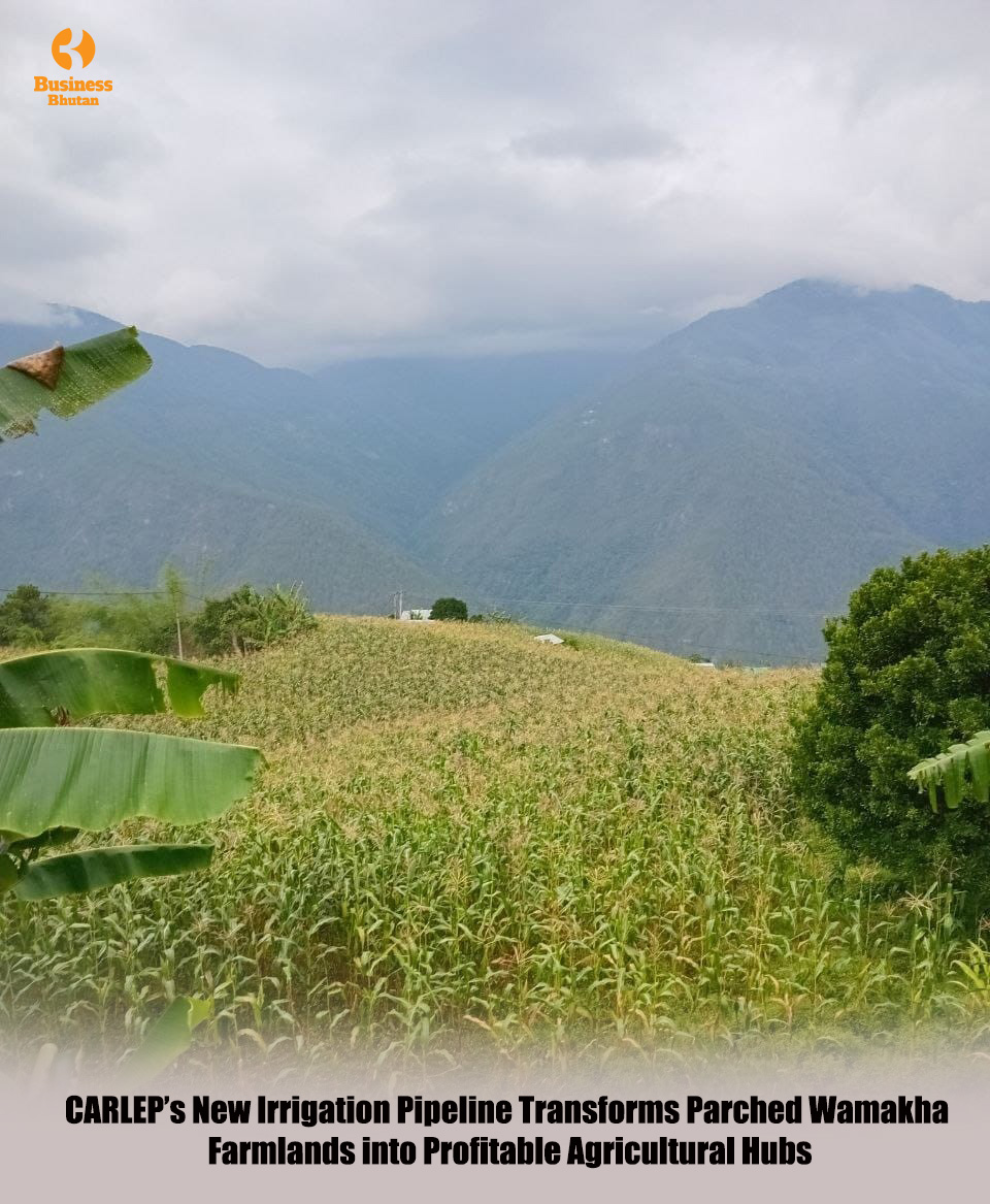 CARLEP’s New Irrigation Pipeline Transforms Parched Wamakha Farmlands into Profitable Agricultural Hubs