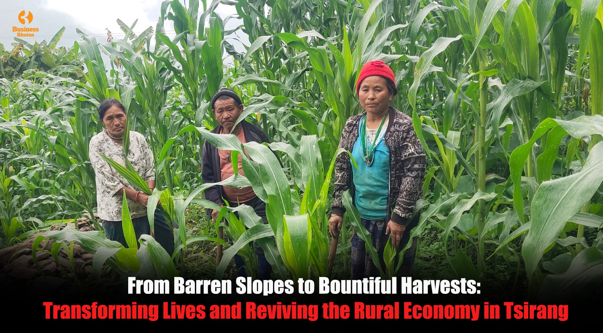 From Barren Slopes to Bountiful Harvests: Transforming Lives and Reviving the Rural Economy in Tsirang