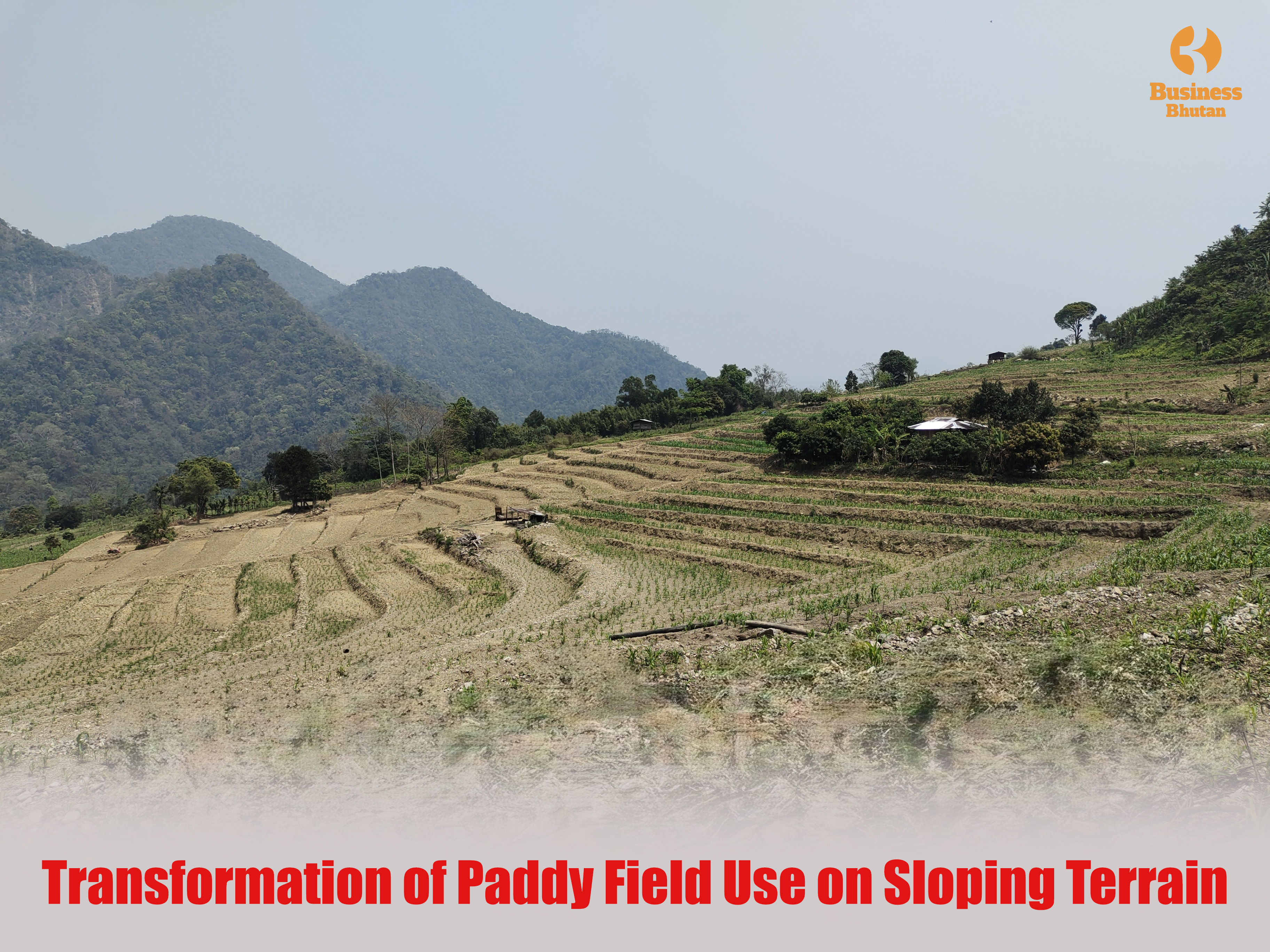 Transformation of Paddy Field Use on Sloping Terrain Transformation of Paddy Field Use on Sloping Terrain