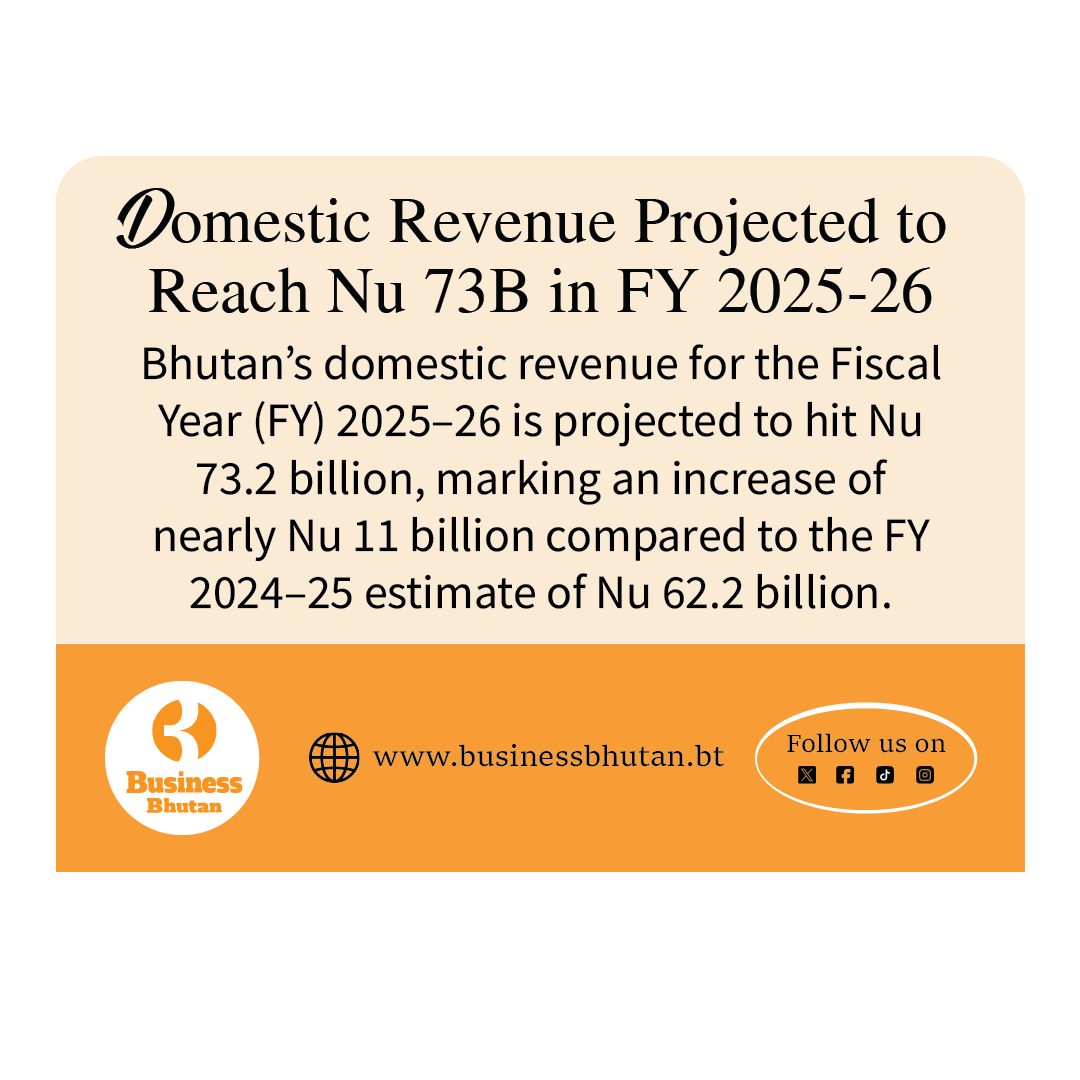 Domestic Revenue Projected to Reach Nu 73B in FY 2025-26
