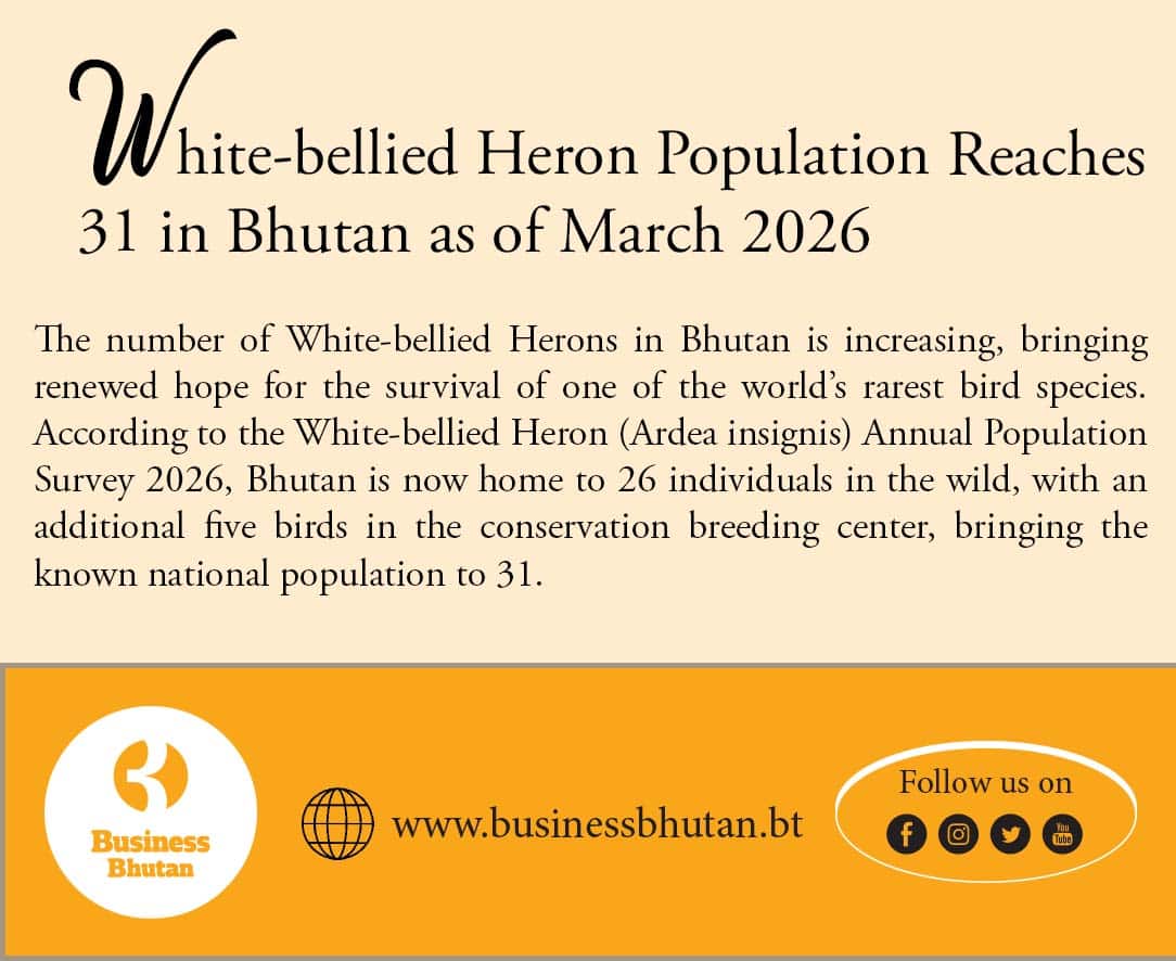 White-bellied Heron Population Reaches 31 in Bhutan as of March 2026