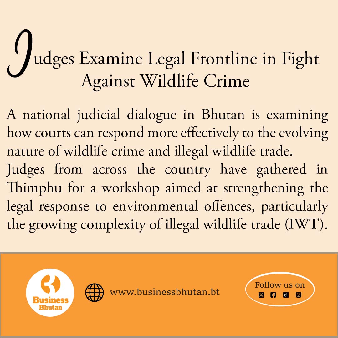 𝐉𝐮𝐝𝐠𝐞𝐬 𝐄𝐱𝐚𝐦𝐢𝐧𝐞 𝐋𝐞𝐠𝐚𝐥 𝐅𝐫𝐨𝐧𝐭𝐥𝐢𝐧𝐞 𝐢𝐧 𝐅𝐢𝐠𝐡𝐭 𝐀𝐠𝐚𝐢𝐧𝐬𝐭 𝐖𝐢𝐥𝐝𝐥𝐢𝐟𝐞 𝐂𝐫𝐢𝐦𝐞