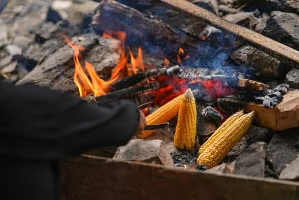Roadside Roasted Corn Market Relies on Imports